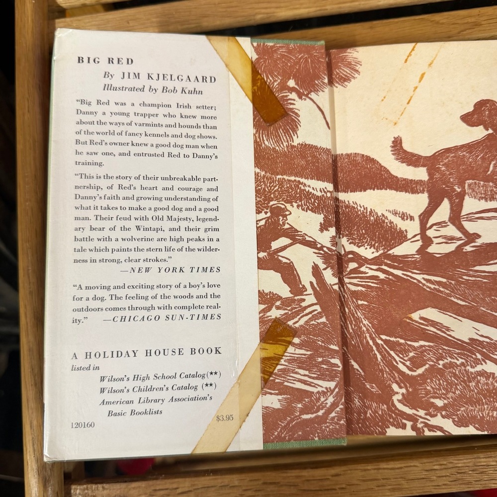 Holiday House Big Red Jim Kjelgaard VTG Hardcover Cabincore Irish Setter Book - Picture 4 of 11